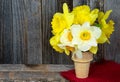 Yellow daffodil bouquet in cone Royalty Free Stock Photo