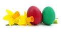 Yellow daffodil and Easter eggs Royalty Free Stock Photo
