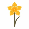 Yellow Daffodil Flower: Simplified Flat Style Illustration For Personal Iconography Royalty Free Stock Photo