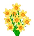 Yellow Daffodil Flowers Bunch