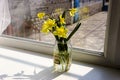 Yellow daffodil flowers in vase on the table Royalty Free Stock Photo