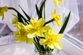 Yellow daffodil flowers in vase on the table Royalty Free Stock Photo