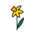 Yellow daffodil icon. Spring flowers isolated vector icon Royalty Free Stock Photo