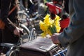 Yellow daffodils in the hand of a man with a bicycle Royalty Free Stock Photo