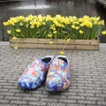 The Yellow daffodils near the fountain on the background of trees in the botanical garden in Keukenhof and traditional Dutch shoes