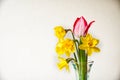Yellow daffodils and pink tulip in a glass vase horizontal. Royalty Free Stock Photo