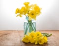 Yellow dafodills in blue jar