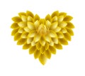 Yellow Dahlia Flowers in A Heart Shape