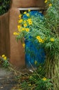 Yellow Daisies By Blue Garden Door