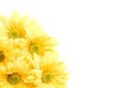 Yellow daisies corner
