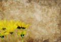 Yellow Daisies Textured