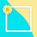 Yellow daisy on abstract sea and sand background with white flat frame square. Flat lay Royalty Free Stock Photo