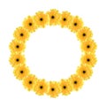 Yellow daisy circle frame Royalty Free Stock Photo