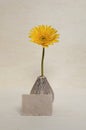 Yellow daisy in design vase with blank paper card Royalty Free Stock Photo