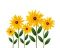 Yellow daisy flowers Royalty Free Stock Photo