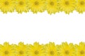 Yellow daisy frame Royalty Free Stock Photo