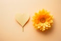 Yellow daisy and paper heart on a beige background, top view. Love concept Royalty Free Stock Photo