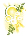 Yellow Daisy Swag Royalty Free Stock Photo