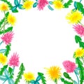 Yellow dandelion and clover flowers, hand drawn - floral frame on white background Royalty Free Stock Photo