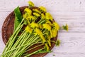 Yellow dandelion flowers in wicker basket on white wooden background. Top view Royalty Free Stock Photo