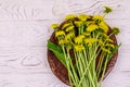 Yellow dandelion flowers in wicker basket on white wooden background. Top view Royalty Free Stock Photo