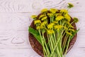 Yellow dandelion flowers in wicker basket on white wooden background. Top view Royalty Free Stock Photo