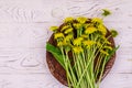 Yellow dandelion flowers in wicker basket on white wooden background. Top view Royalty Free Stock Photo