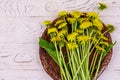 Yellow dandelion flowers in wicker basket on white wooden background. Top view Royalty Free Stock Photo