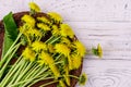 Yellow dandelion flowers in wicker basket on white wooden background. Top view Royalty Free Stock Photo