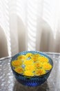 Yellow dandelions flowers in a blue glass bowl with water Royalty Free Stock Photo