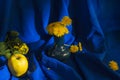Yellow dandelions flowers in a vase on a blue cloth. Vintage still life. Spring background with dandelions. Royalty Free Stock Photo