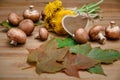 Yellow Dandelions,Forest Mushrooms,Green Leaves on the Wooden Table.Wish Card.Garden's Background