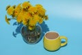 Yellow dandelions in the garden with cup of coffee Royalty Free Stock Photo