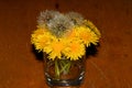Yellow dandelions in a glass Royalty Free Stock Photo