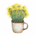 Yellow dandelions in a rusty metal cup. Watercolor hand drawn summer composition. Yellow wild  bouquet flowers  illustration Royalty Free Stock Photo