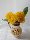 Beautiful yellow dandelions in a vase on the table, spring flowers, clear weather.