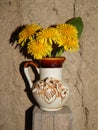 Beautiful yellow dandelions in a vase on the table, spring flowers, clear weather.