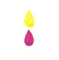 Yellow and dark pink water drops. Hand drawing watercolor sketch. Colorful illustration