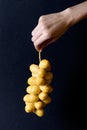 A bunch of fresh yellow dates in hand Royalty Free Stock Photo