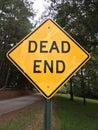 Yellow Dead End Sign Portrait with Road in Background