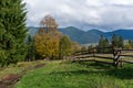Yellow deciduous tree against a background of mountains. Rustic fence leading to the tree. Royalty Free Stock Photo