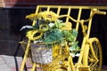 A yellow decorative bicycle with flowers stands in the parking lot on a summer day. Royalty Free Stock Photo