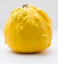 Yellow decorative pumpkin closeup