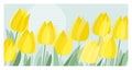 Yellow decorative tulip floral header template
