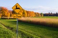 Yellow deer crossing on next 3 kilometres road sign seen against fall rural landscape Royalty Free Stock Photo
