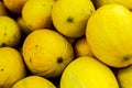 Yellow and delicious melons piled up for sale at the fair of sao joaquim. Royalty Free Stock Photo