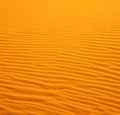 in the yellow desert of morocco lonely dune hill