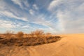 Yellow desert Royalty Free Stock Photo