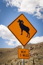 Yellow diamond shaped road sign warning about big horn sheep in the area Royalty Free Stock Photo