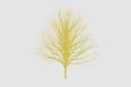 Yellow die tree color Silhouettes art design